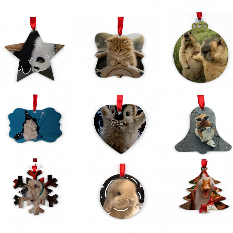 Custom Metal Photo Ornament - Personalized Picture Hanging