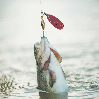 5Pcs Sublimation Blank Fishing Lures, Inline Spinner Baits, Fishing Treble Hooks for Freshwater  Saltwater Trout Salmon
